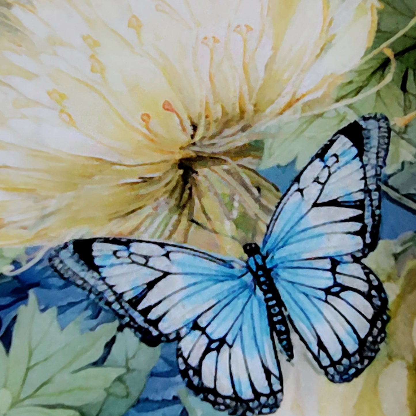 インテリア装飾 壁掛け布 森のささやき 蝶 ボタニカル Timeless Treasures Forest Whisper アメリカ直輸入 パネル生地 61×112cm